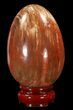 Colorful Petrified Wood Egg #41937-1
